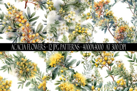 Acacia Flower Patterns for Designers and Creators